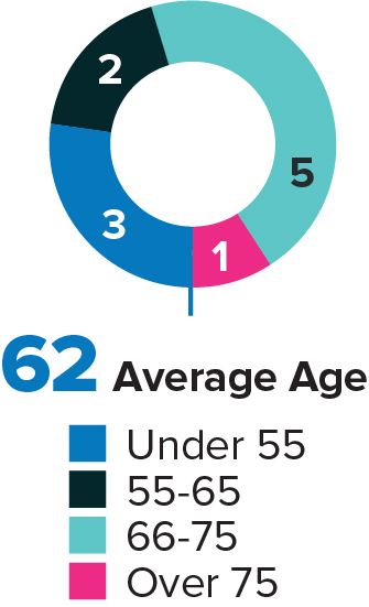 piechart_Average age.jpg